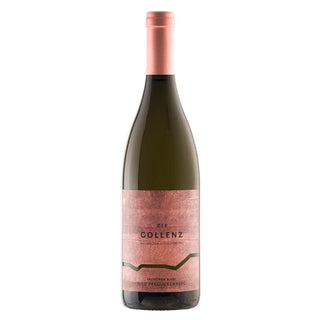 • Sauvignon Blanc Ried Preguckenberg 2020 •