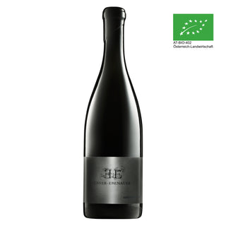 • 2020 Grüner Veltliner Black Edition BIO - Limitiert •