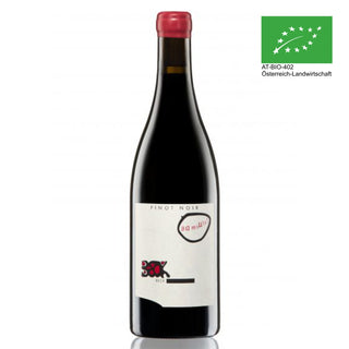 • Pinot Noir Bambule BIO 2021 •