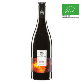 • Pinot Noir Ried Siglos BIO 2021 •