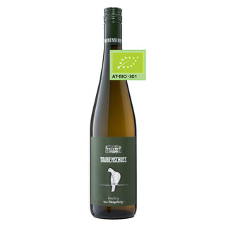 • Riesling Ried Steigelberg BIO 2023 •