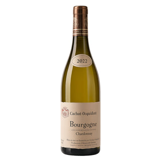 • Bourgogne Chardonnay 2022 •