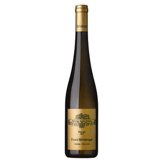 • Grüner Veltliner Honivogl 2021 Magnum 1,5 Liter •