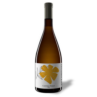 Flasche Cantina Tollo Pecorino Terre d'Abruzzo IGP 2024